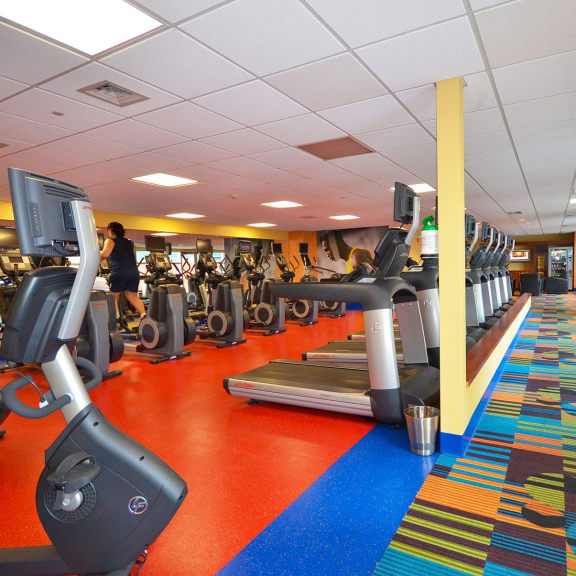 a view of a gym with cardio machines and a colorful carpet