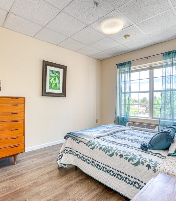 a bedroom with a bed and a dresser