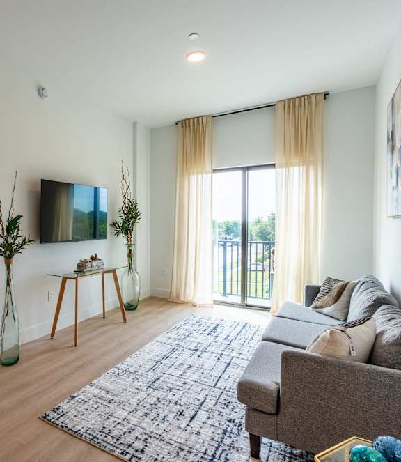 A living room with a grey couch and a blue and white rug.