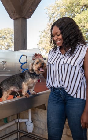 a woman standing next to a dog on a treadmill