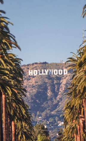 Palm trees frame the iconic Hollywood sign.