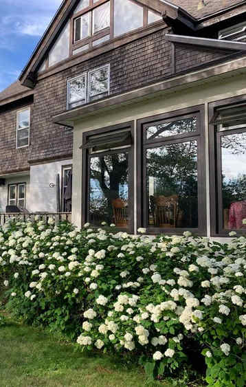 A house with a white flower bush in front.