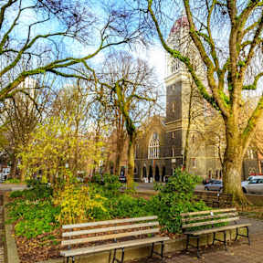 A park with benches and trees in front of a church.