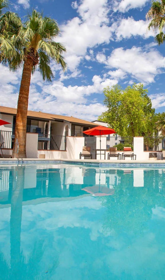 the swimming pool at our hotel in palm springs