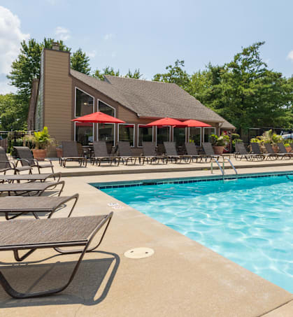 A sparkling pool with lounge chairs and umbrellas for a relaxing afternoon.