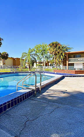 A pool surrounded by palm trees and a fence.