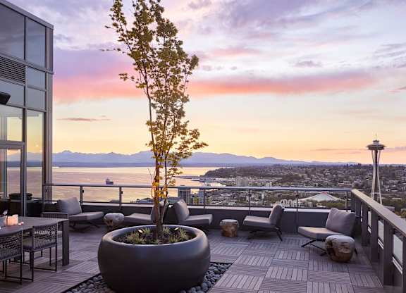 A tree in a pot sits on a deck with a view of the water and mountains.