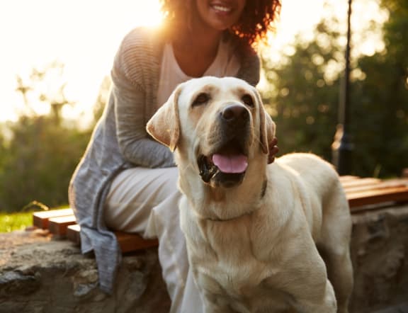 Woman Smiling while Sitting on Bench with Dog