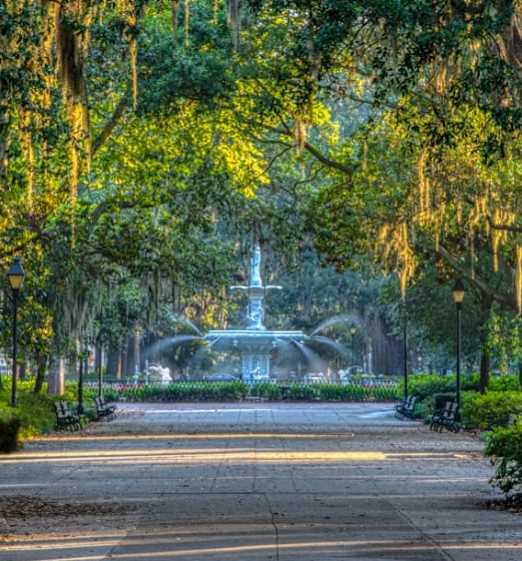A tree-lined walkway at Savan Pointe, Savannah, 31406