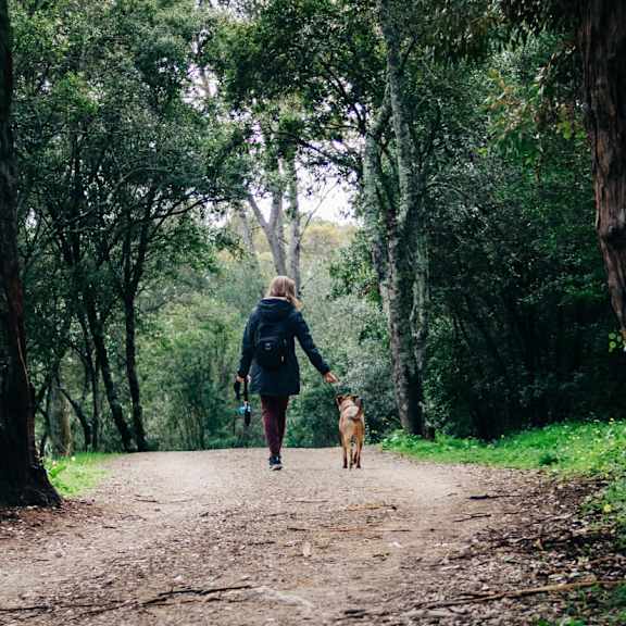 A person walking a dog on a dirt path in a forest.
