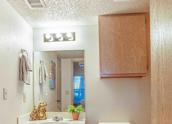 a bathroom with a toilet sink and mirror