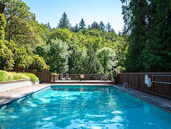A small pool surrounded by trees and a wooden fence.
