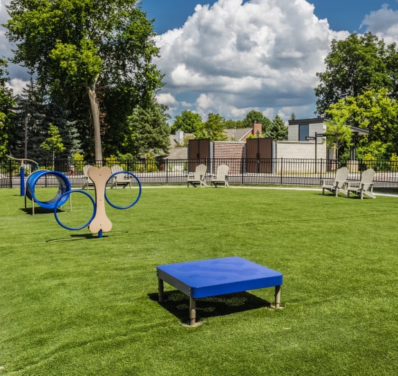 a pet park with a blue bench and exercise equipment on the grass  at Upper Vue Flats, Dublin, Ohio