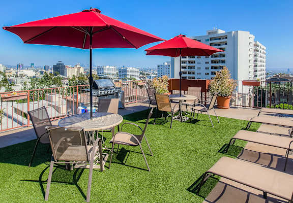 Rooftop Patio at Joro Properties, California