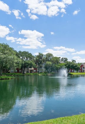 Lake View at Bella Vista on Park, Plant City Florida