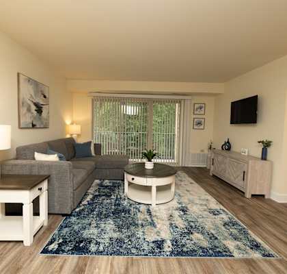A living room with a grey couch, a white coffee table, and a blue rug.