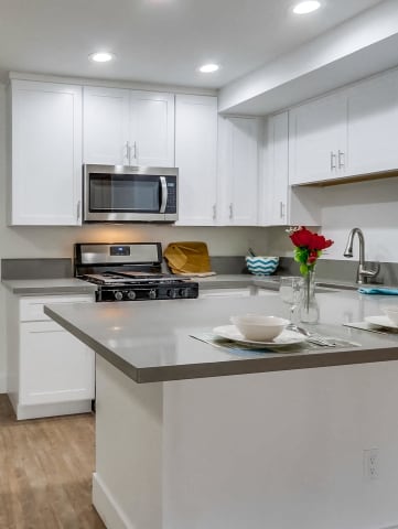 Modern kitchen at SpringTree Apartments 