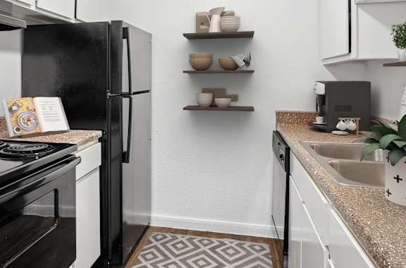 A black and white kitchen with a patterned rug on the floor.