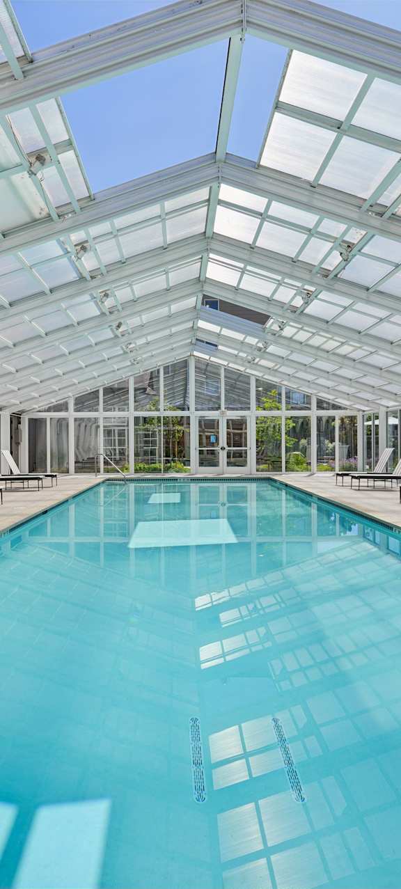 A large indoor swimming pool with a glass ceiling.