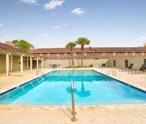 pool with palm trees
