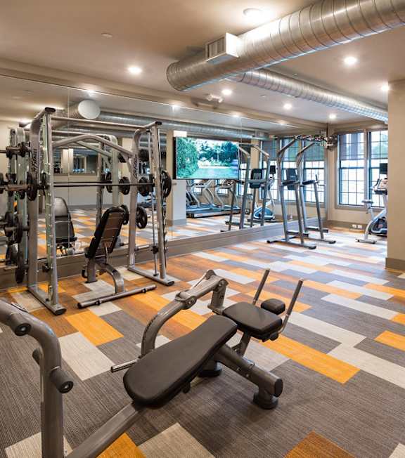 Spacious gym at Echo at North Pointe Center, Alpharetta, GA
