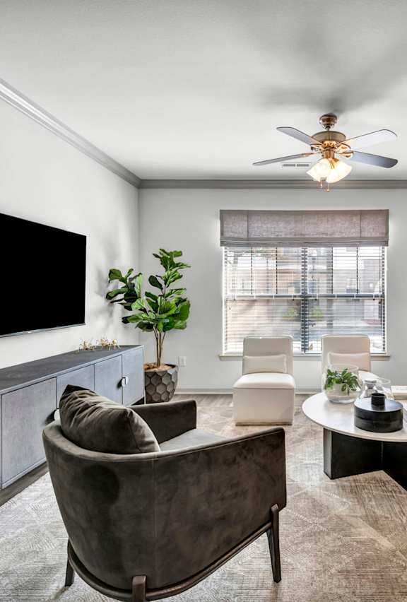 A living room with a grey sofa, a black chair, a grey armchair, a black coffee table, a black television, a potted plant, a mirror, and a ceiling fan.