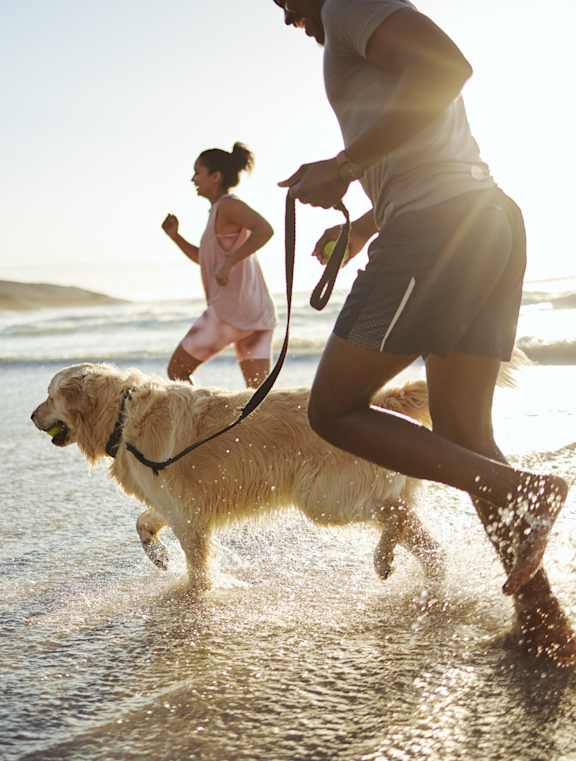 Two people and a dog running on the beach.