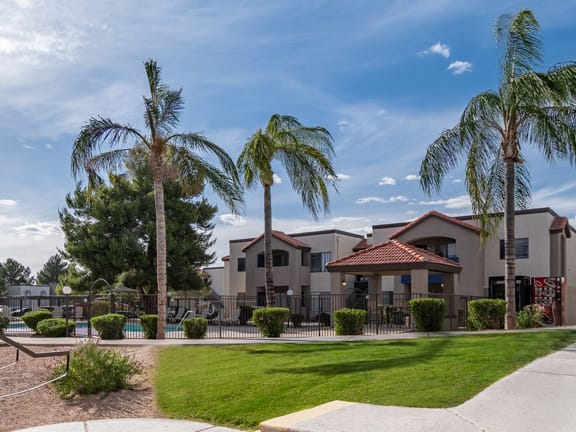 cantera pool view with lush landscape