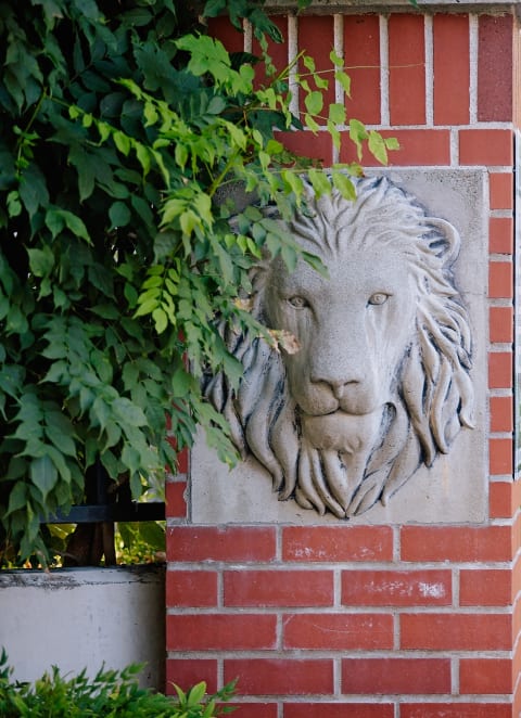 Brick Wall at LionsGate South, 97124