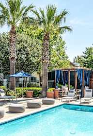 A pool surrounded by lounge chairs and umbrellas with palm trees in the background.