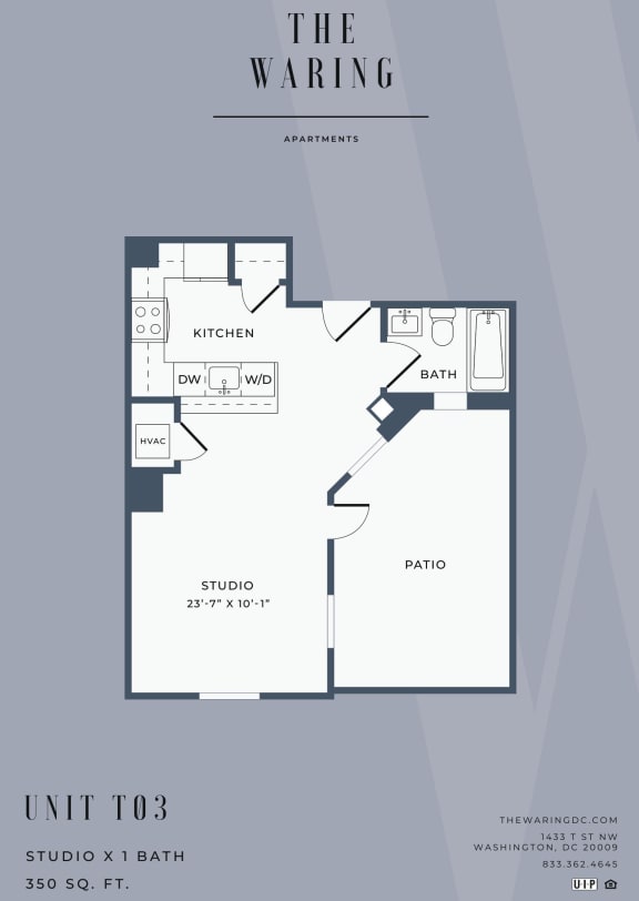 Studio-Floorplan-Available-For-Rent-The-Waring