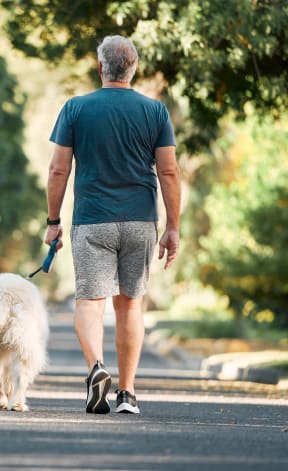 a man and woman walking a dog down a road