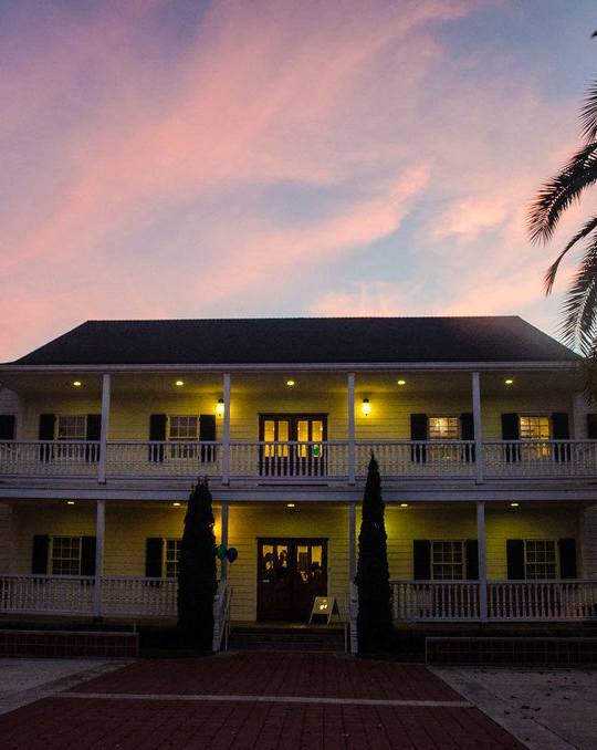 A house with a porch and palm trees in front.