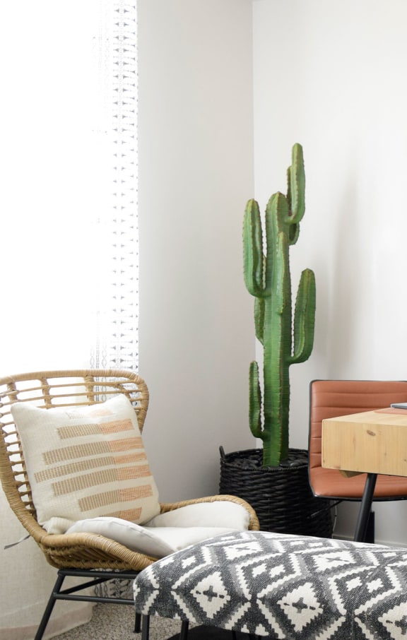 a home office with three chairs and a desk with a computer and a cactus