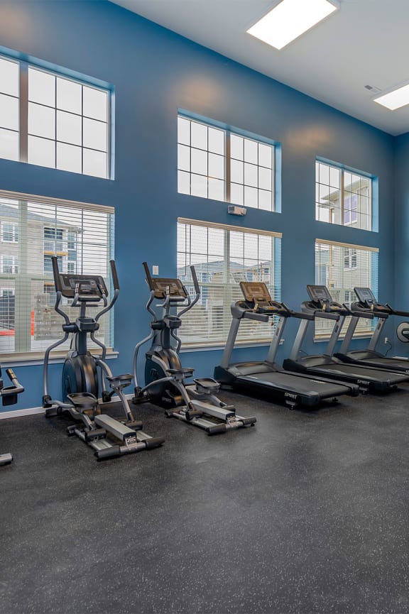 the gym has plenty of exercise equipment and windows