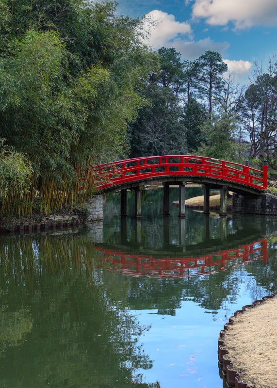 a red bridge over a pond in a park at The Junction, Memphis, Tennessee