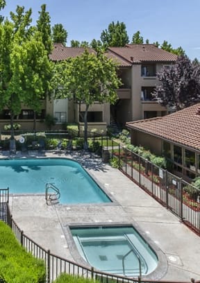 our apartments have a swimming pool and a courtyard with trees
