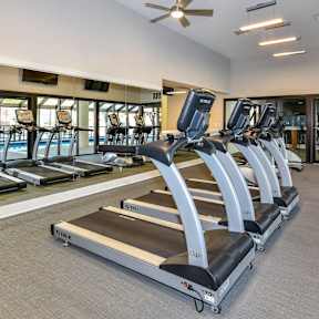 A gym with treadmills and a fan.