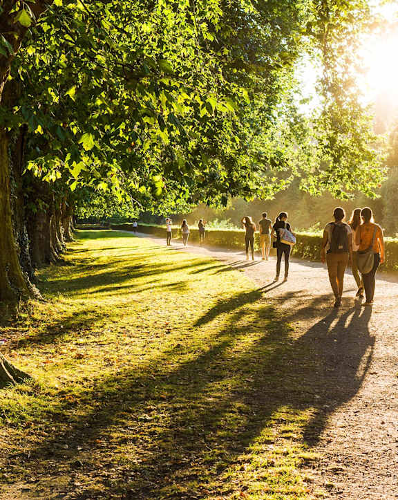 A group of people walking a dog on a path in a park.