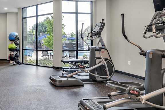the gym at the benjamin pa