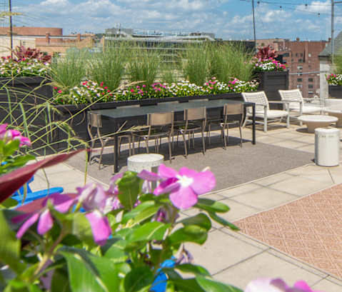 a rooftop patio with tables and chairs and flowers