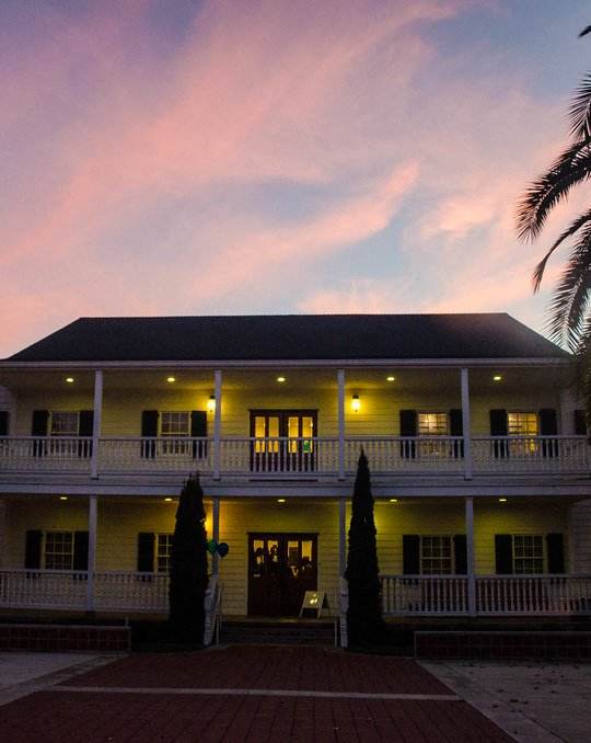 A house with a porch and palm trees in front.