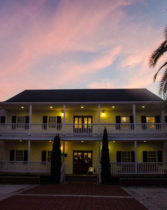 A house with a porch and palm trees in front.