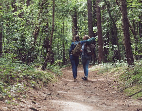 Two people walking on a dirt path in the woods.