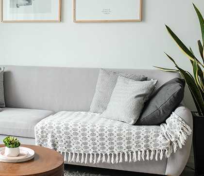 Sofa With Pillows and Coffee Table.