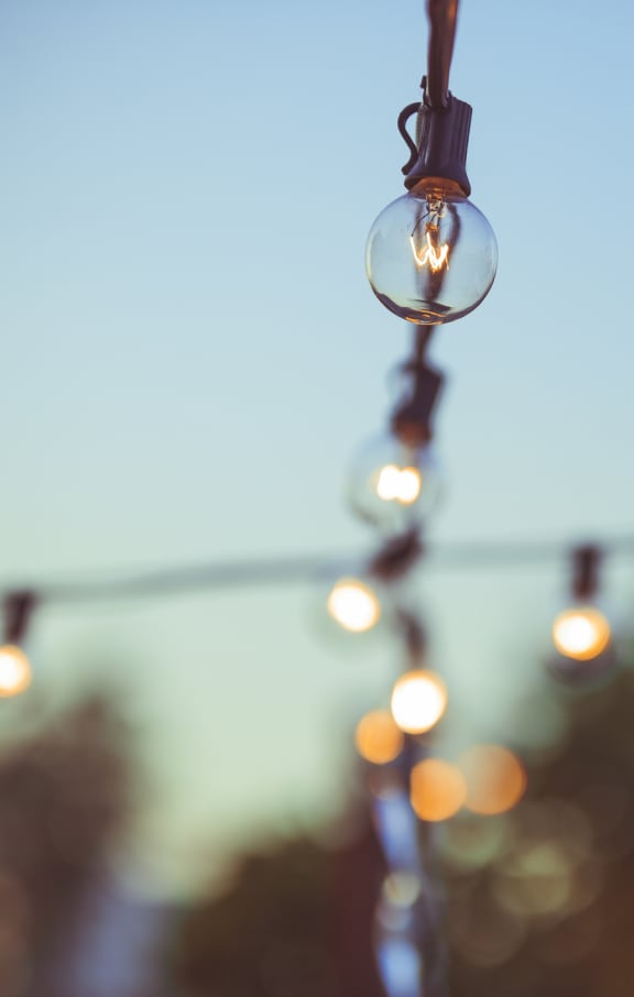 a string of light bulbs hanging from a line at Oak Grove at Blake Farm, North Carolina, 28411