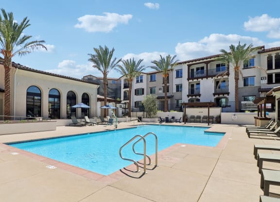 Swimming pool with palm trees at Arrive Temecula