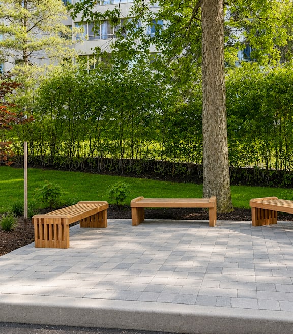 benches in outdoor garden