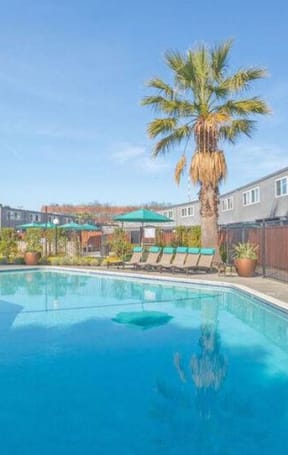 a swimming pool with a palm tree next to a building at The Preston at Hillsdale, San Mateo, CA
