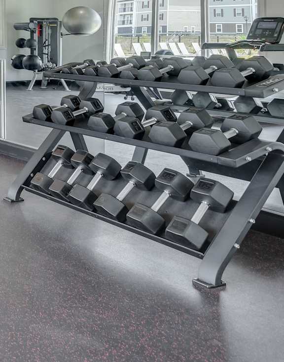 a gym with weights and other exercise equipment in a home